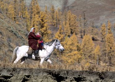 Mongolia horse back riding